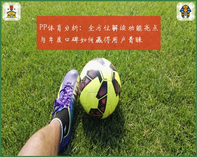 PP体育分析：全方位解读功能亮点与年度口碑如何赢得用户青睐