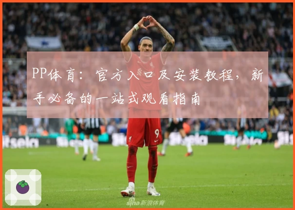 PP体育：官方入口及安装教程，新手必备的一站式观看指南