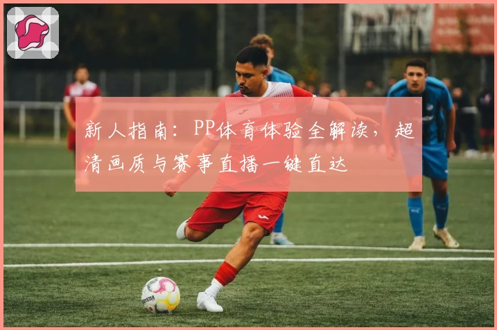 新人指南：PP体育体验全解读，超清画质与赛事直播一键直达