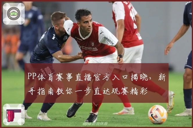 PP体育赛事直播官方入口揭晓，新手指南教你一步直达观赛精彩