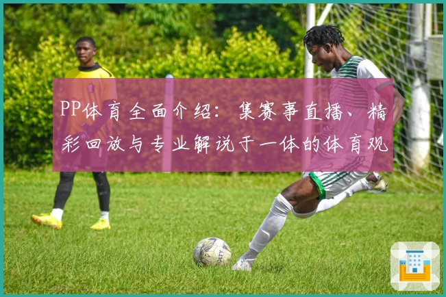 PP体育全面介绍：集赛事直播、精彩回放与专业解说于一体的体育观看平台
